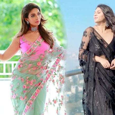 इस तरह ट्राई करें नेट की साड़ी, नजर आएंगी बेहद स्टाइलिश, जानियें