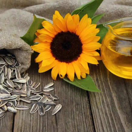 सूरजमुखी का तेल होता है शरीर के लिए फायदेमंद, पाए जाते है ये तत्व, पढ़िये